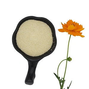 Wholesale Halal Edible Gelatin Powder From Bovine Skin for Gummies 180-220 Bloom